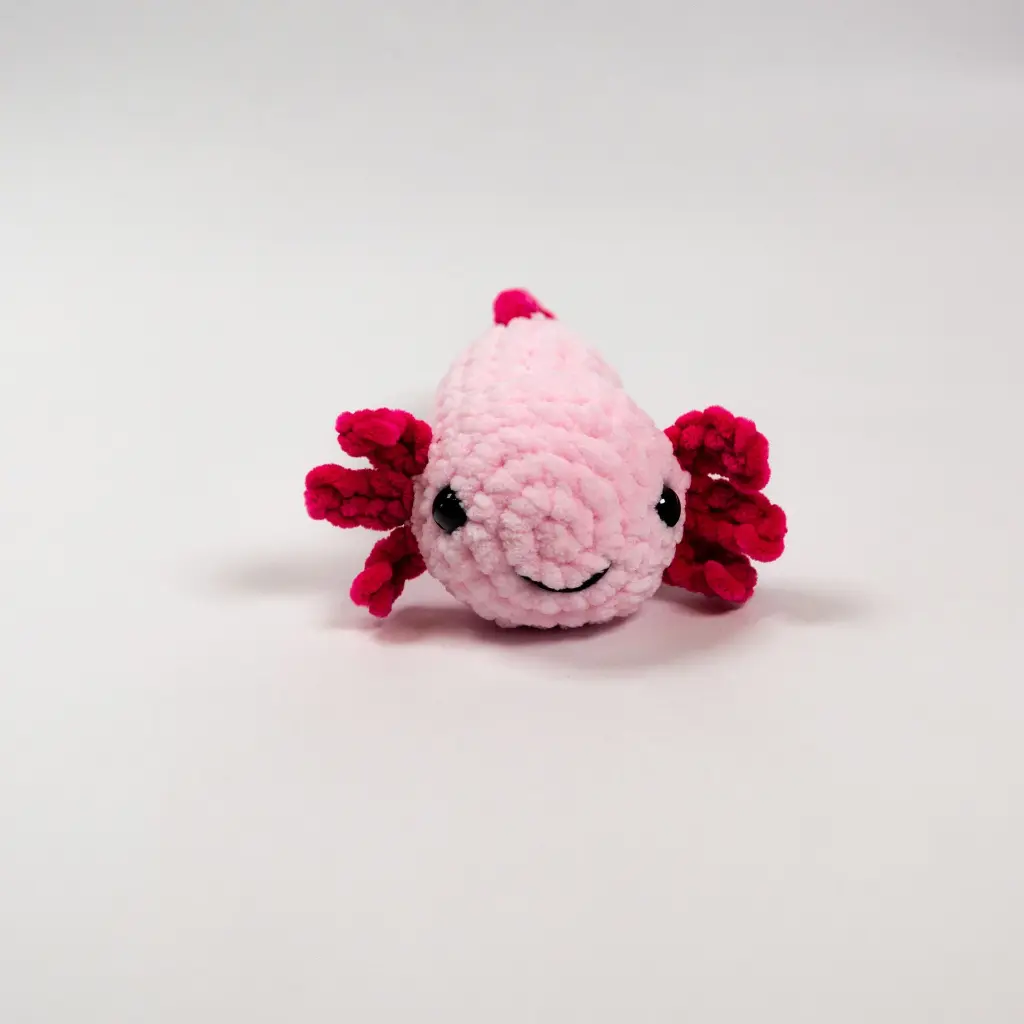 _DSC0030.webp