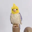 Cockatiel Bird