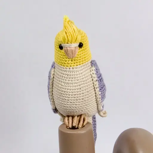 Cockatiel Bird