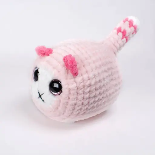 Pink Cat